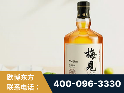 营口-梅见青梅酒